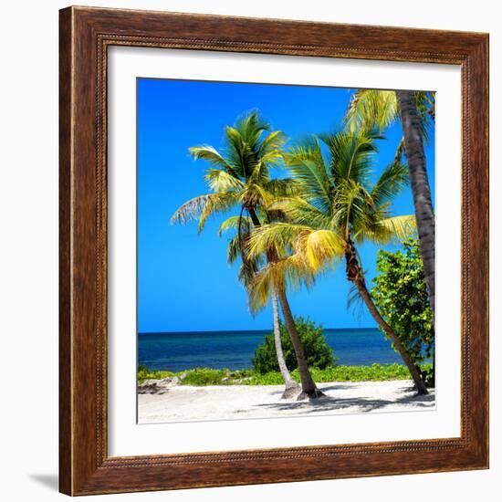 Palms on a White Sand Beach in Key West - Florida-Philippe Hugonnard-Framed Photographic Print