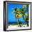 Palms on a White Sand Beach in Key West - Florida-Philippe Hugonnard-Framed Photographic Print