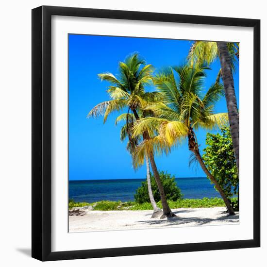 Palms on a White Sand Beach in Key West - Florida-Philippe Hugonnard-Framed Photographic Print