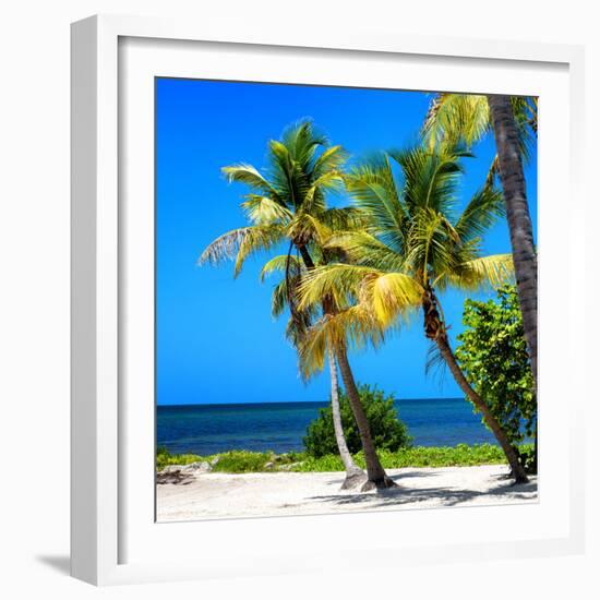 Palms on a White Sand Beach in Key West - Florida-Philippe Hugonnard-Framed Photographic Print