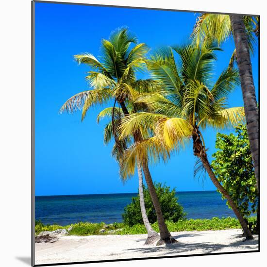 Palms on a White Sand Beach in Key West - Florida-Philippe Hugonnard-Mounted Photographic Print