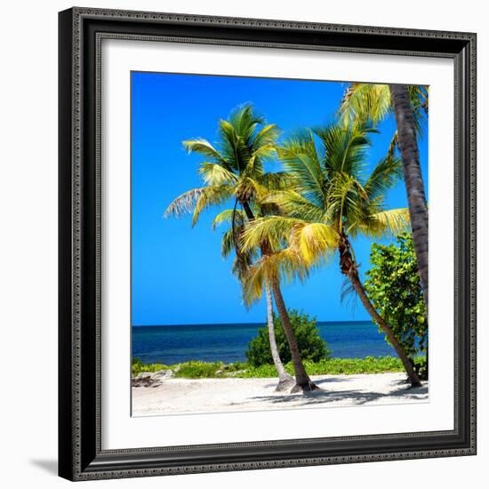 Palms on a White Sand Beach in Key West - Florida-Philippe Hugonnard-Framed Photographic Print