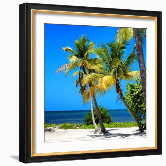 Palms on a White Sand Beach in Key West - Florida-Philippe Hugonnard-Framed Photographic Print