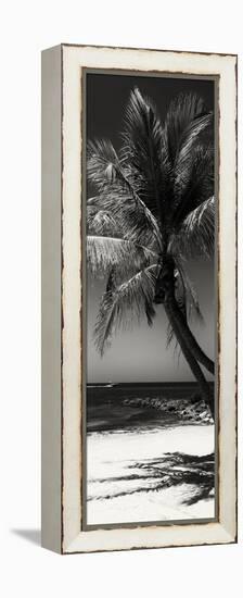 Palms on a White Sand Beach in Key West - Florida-Philippe Hugonnard-Framed Premier Image Canvas