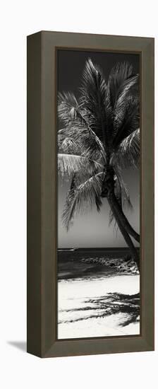 Palms on a White Sand Beach in Key West - Florida-Philippe Hugonnard-Framed Premier Image Canvas