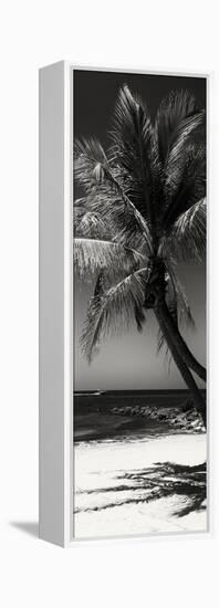 Palms on a White Sand Beach in Key West - Florida-Philippe Hugonnard-Framed Premier Image Canvas