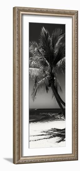 Palms on a White Sand Beach in Key West - Florida-Philippe Hugonnard-Framed Photographic Print