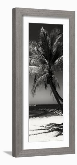 Palms on a White Sand Beach in Key West - Florida-Philippe Hugonnard-Framed Photographic Print