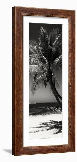 Palms on a White Sand Beach in Key West - Florida-Philippe Hugonnard-Framed Photographic Print