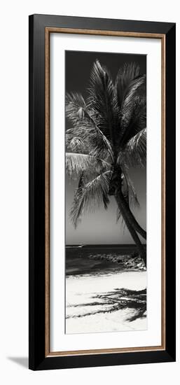 Palms on a White Sand Beach in Key West - Florida-Philippe Hugonnard-Framed Photographic Print