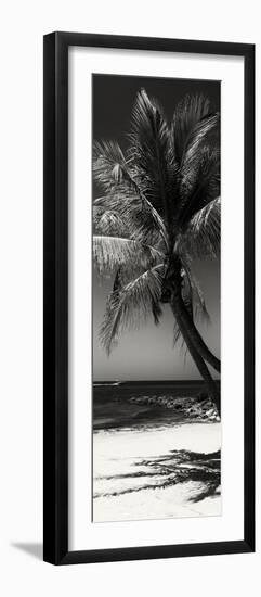 Palms on a White Sand Beach in Key West - Florida-Philippe Hugonnard-Framed Photographic Print