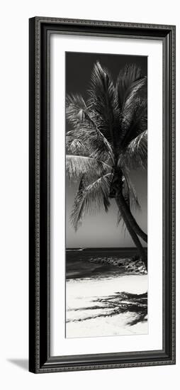 Palms on a White Sand Beach in Key West - Florida-Philippe Hugonnard-Framed Photographic Print