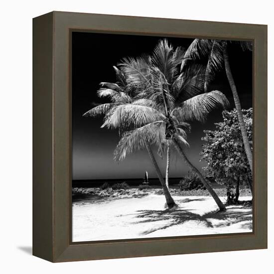 Palms on a White Sand Beach in Key West - Florida-Philippe Hugonnard-Framed Premier Image Canvas