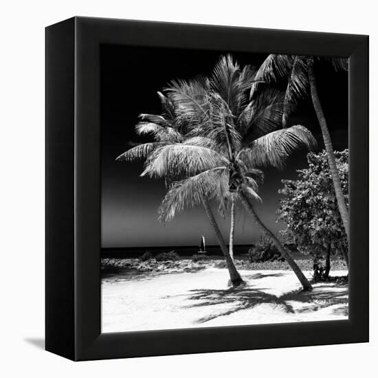 Palms on a White Sand Beach in Key West - Florida-Philippe Hugonnard-Framed Premier Image Canvas