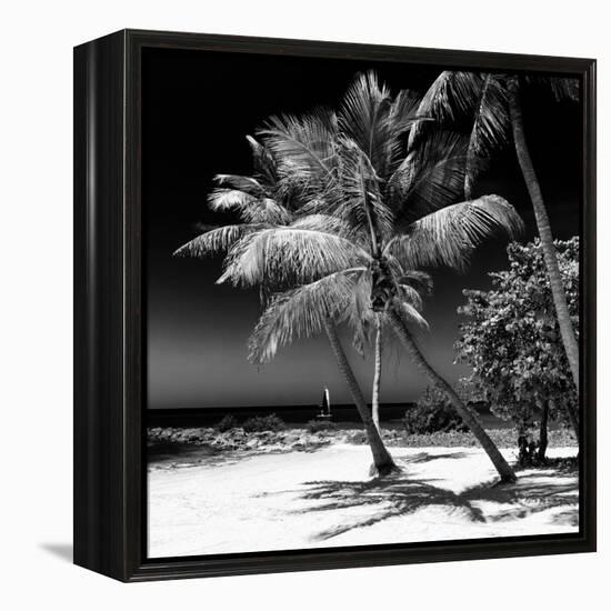 Palms on a White Sand Beach in Key West - Florida-Philippe Hugonnard-Framed Premier Image Canvas