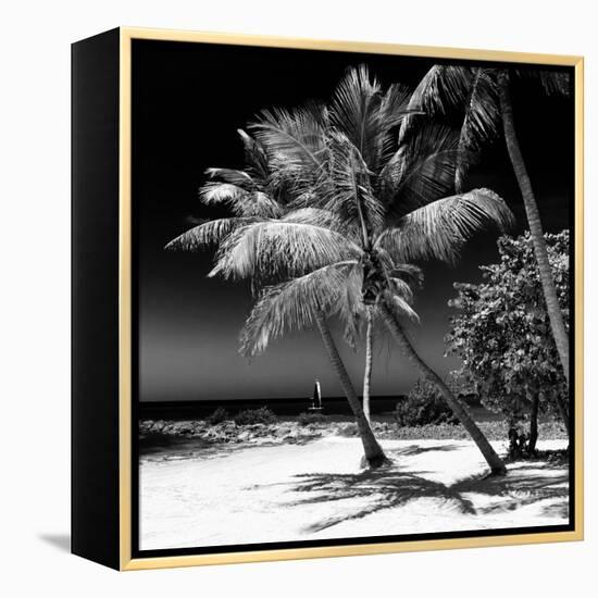 Palms on a White Sand Beach in Key West - Florida-Philippe Hugonnard-Framed Premier Image Canvas