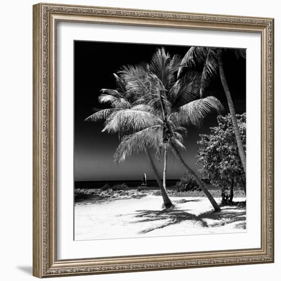 Palms on a White Sand Beach in Key West - Florida-Philippe Hugonnard-Framed Photographic Print