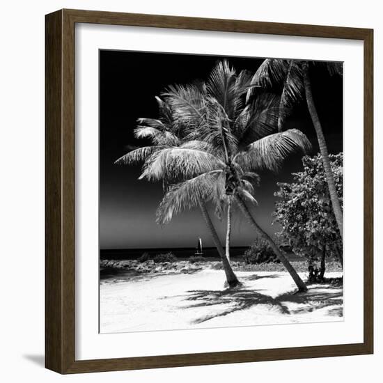 Palms on a White Sand Beach in Key West - Florida-Philippe Hugonnard-Framed Photographic Print