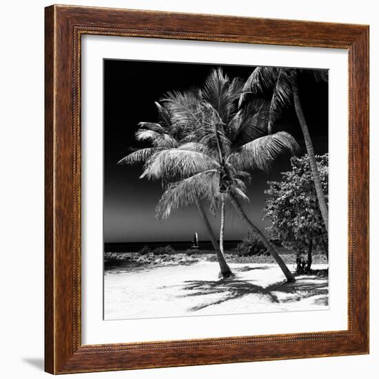 Palms on a White Sand Beach in Key West - Florida-Philippe Hugonnard-Framed Photographic Print