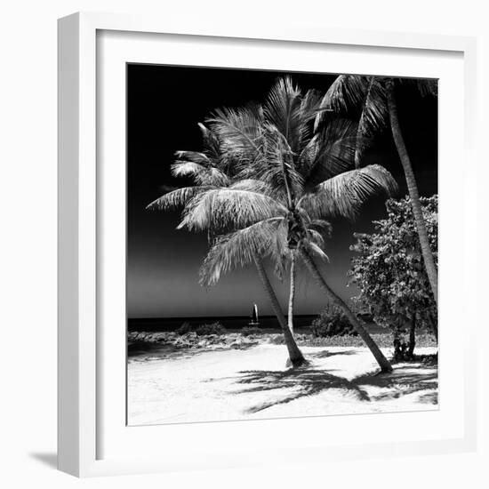 Palms on a White Sand Beach in Key West - Florida-Philippe Hugonnard-Framed Photographic Print