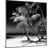 Palms on a White Sand Beach in Key West - Florida-Philippe Hugonnard-Mounted Photographic Print