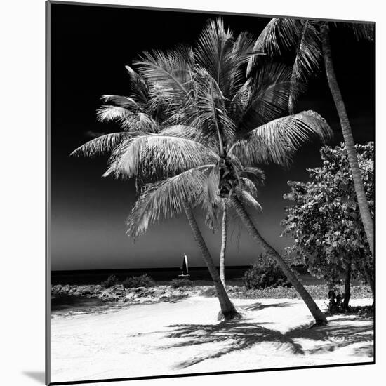 Palms on a White Sand Beach in Key West - Florida-Philippe Hugonnard-Mounted Photographic Print