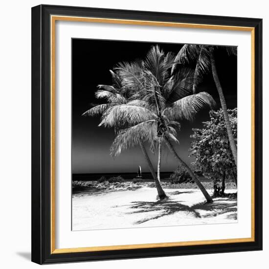 Palms on a White Sand Beach in Key West - Florida-Philippe Hugonnard-Framed Photographic Print