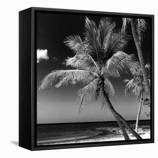 Palms on a White Sand Beach in Key West - Florida-Philippe Hugonnard-Framed Premier Image Canvas