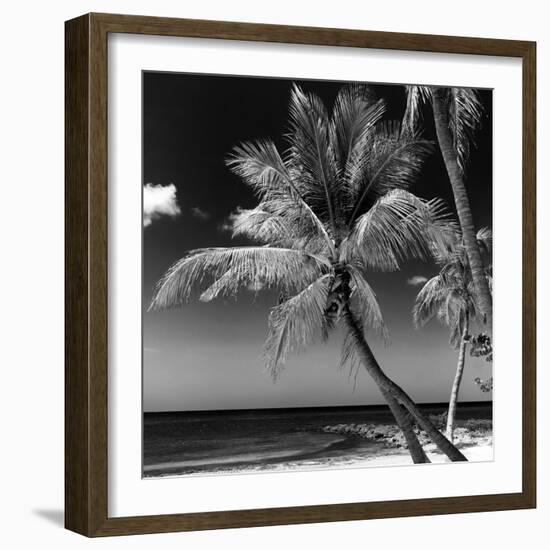 Palms on a White Sand Beach in Key West - Florida-Philippe Hugonnard-Framed Photographic Print