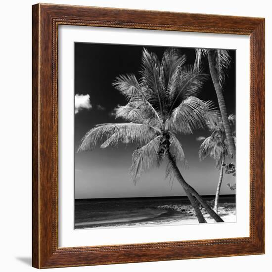 Palms on a White Sand Beach in Key West - Florida-Philippe Hugonnard-Framed Photographic Print