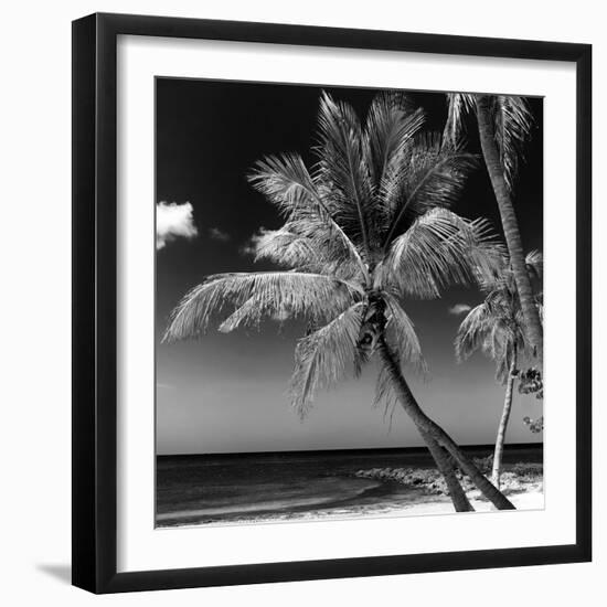 Palms on a White Sand Beach in Key West - Florida-Philippe Hugonnard-Framed Photographic Print