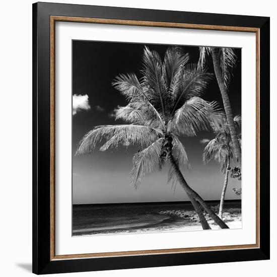 Palms on a White Sand Beach in Key West - Florida-Philippe Hugonnard-Framed Photographic Print