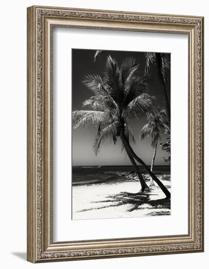 Palms on a White Sand Beach in Key West - Florida-Philippe Hugonnard-Framed Photographic Print