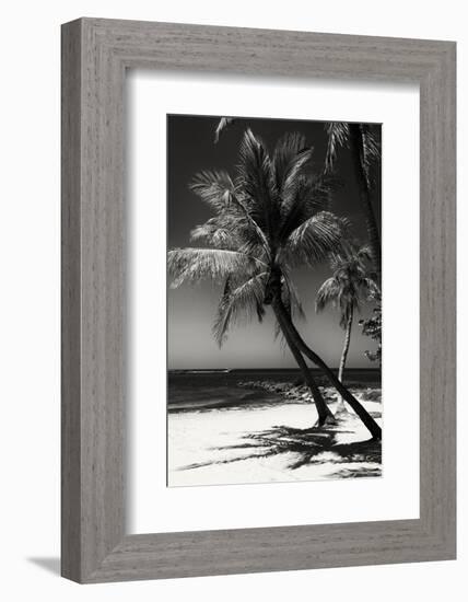 Palms on a White Sand Beach in Key West - Florida-Philippe Hugonnard-Framed Photographic Print