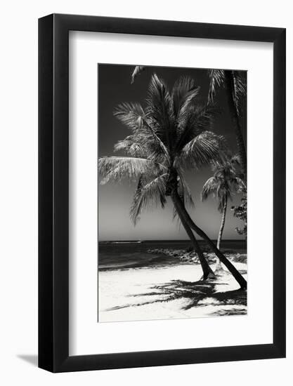 Palms on a White Sand Beach in Key West - Florida-Philippe Hugonnard-Framed Photographic Print