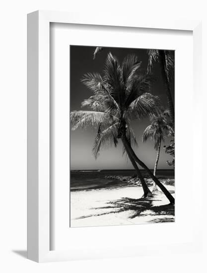 Palms on a White Sand Beach in Key West - Florida-Philippe Hugonnard-Framed Photographic Print