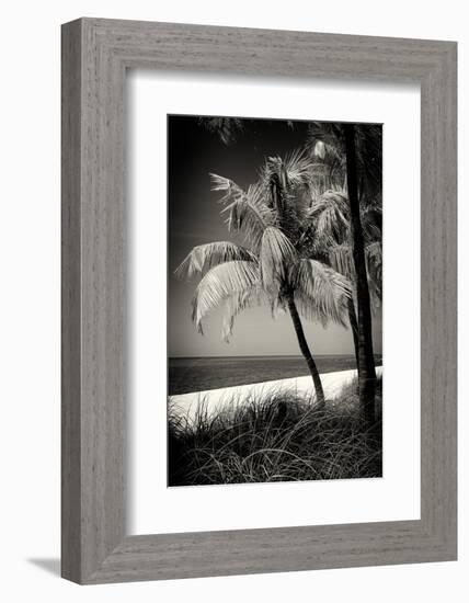 Palms on a White Sand Beach in Key West - Florida-Philippe Hugonnard-Framed Photographic Print