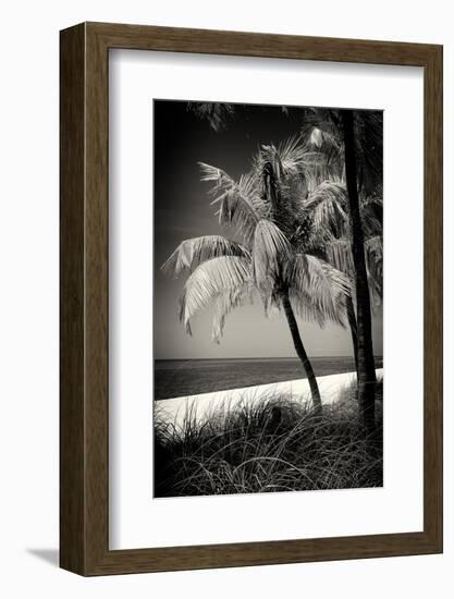 Palms on a White Sand Beach in Key West - Florida-Philippe Hugonnard-Framed Photographic Print