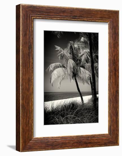 Palms on a White Sand Beach in Key West - Florida-Philippe Hugonnard-Framed Photographic Print