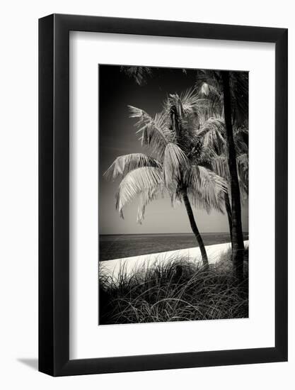 Palms on a White Sand Beach in Key West - Florida-Philippe Hugonnard-Framed Photographic Print