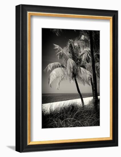 Palms on a White Sand Beach in Key West - Florida-Philippe Hugonnard-Framed Photographic Print