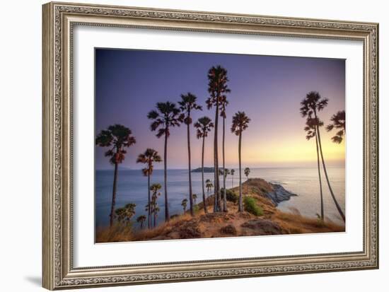 Palms on Phuket Island, Thailand-Art Wolfe-Framed Art Print