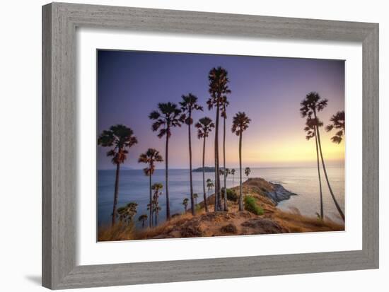 Palms on Phuket Island, Thailand-Art Wolfe-Framed Art Print