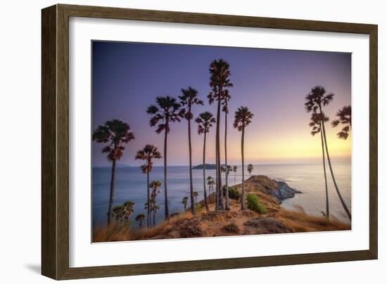 Palms on Phuket Island, Thailand-Art Wolfe-Framed Art Print