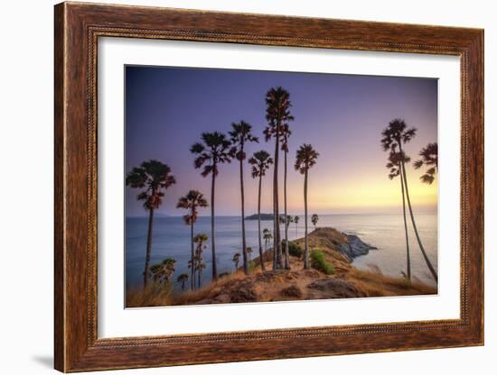 Palms on Phuket Island, Thailand-Art Wolfe-Framed Art Print