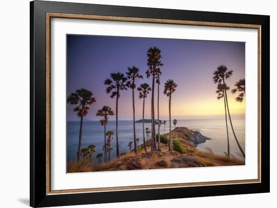 Palms on Phuket Island, Thailand-Art Wolfe-Framed Art Print