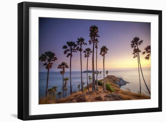 Palms on Phuket Island, Thailand-Art Wolfe-Framed Art Print