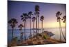 Palms on Phuket Island, Thailand-Art Wolfe-Mounted Art Print