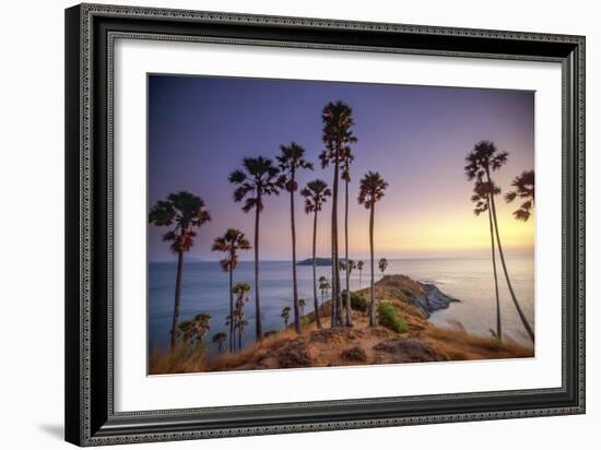 Palms on Phuket Island, Thailand-Art Wolfe-Framed Art Print