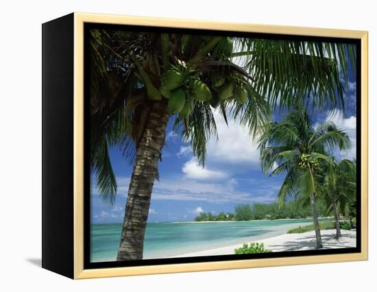 Palms on Shore, Cayman Kai Near Rum Point, Grand Cayman, Cayman Islands, West Indies-Ruth Tomlinson-Framed Premier Image Canvas